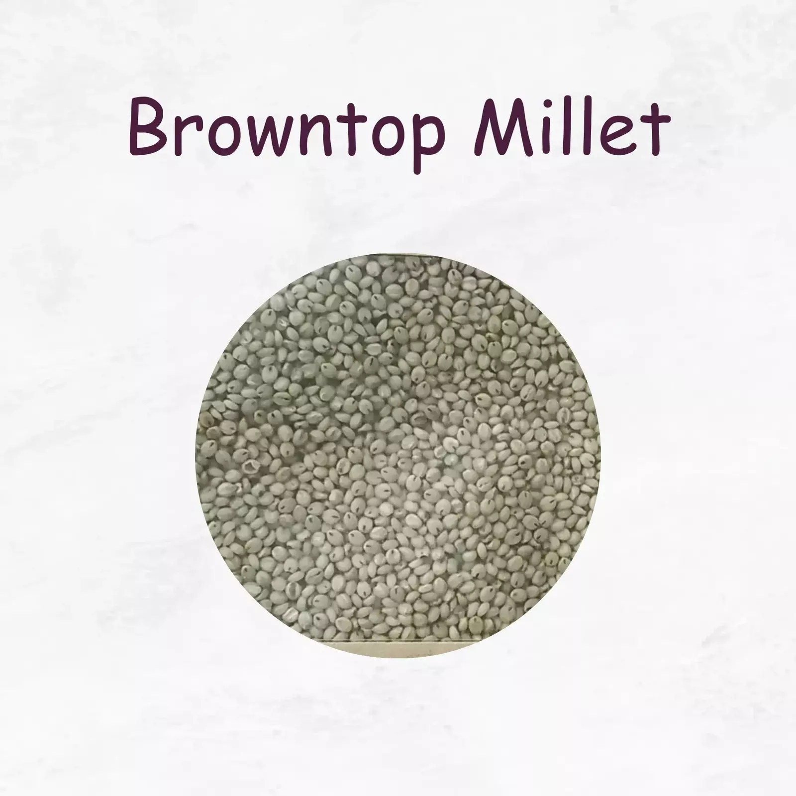 Browntop Benefits